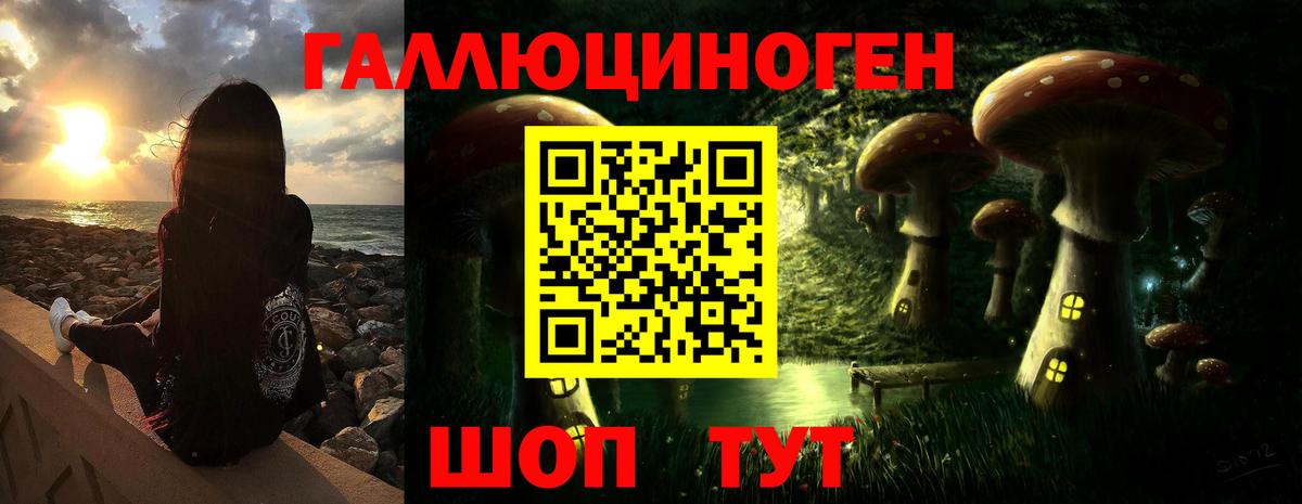 Галлюциногенные грибы Psilocybine cubensis  Вход с VPN  Курчалой  Галлюциногенные грибы Magic Shrooms 